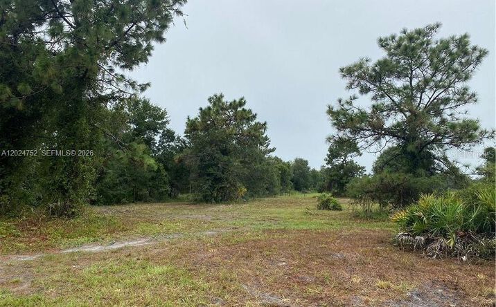 Pictures of Land property located at 1525 N HIGHWAY 17, Unincorporated Dade County, FL 34266 for sales - image #1