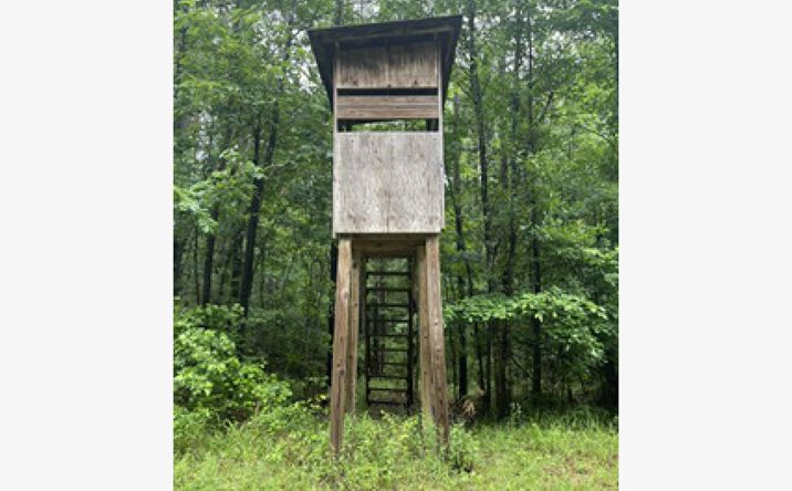 Pictures of Land property located at Lowenkamp Lane, Hazlehurst, MS 39083 for sales - image #1