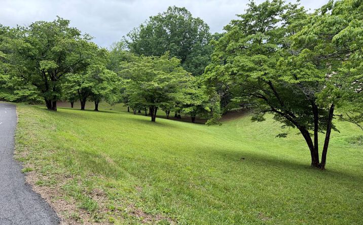 Lot 4 Drake Ridge Drive, Hayesville