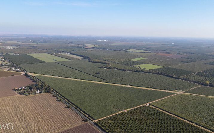 Pictures of Land property located at 12590 Live Oak Road, Lodi, CA 95240 for sales - image #1