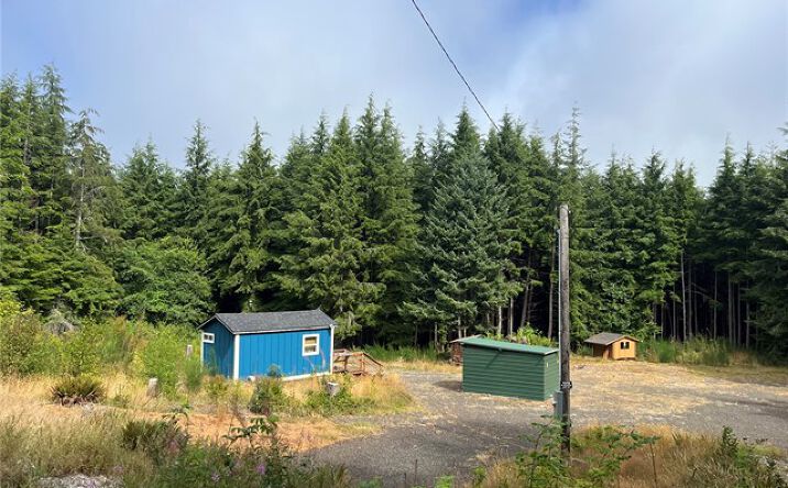 Pictures of Land property located at 282 Copalis Beach Rd, Copalis Beach, WA 98355 for sales - image #1
