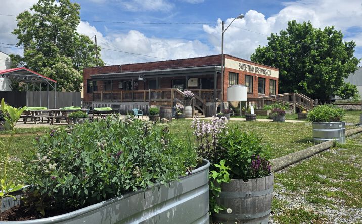 Pictures of Hospitality, Business for Sale property located at 149 DEADMORE ST, ABINGDON, VA 24210 for sales - image #1