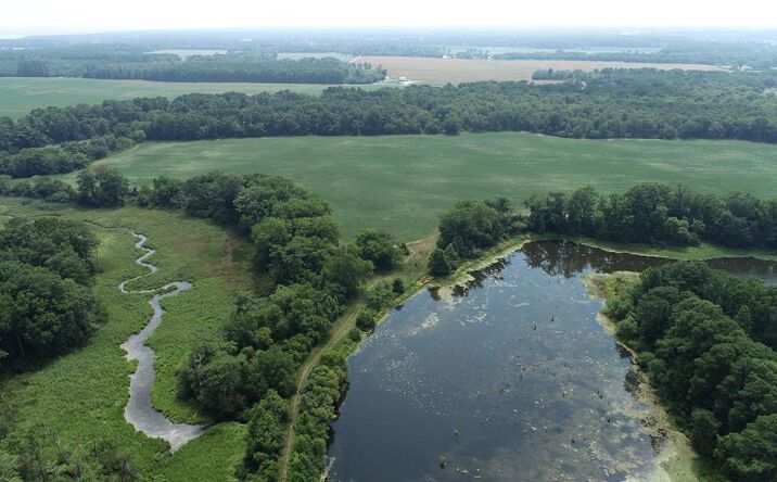 Pictures of Land, Special Purpose property located at #57,#154 Metompkin Road, Parksley, VA 23421 for sales - image #1