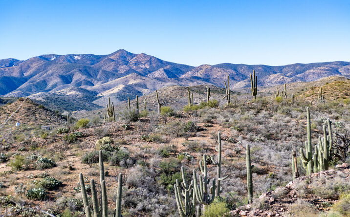 Pictures of Land property located at Campo Bonito Road (No Address, Oracle, AZ 85631 for sales - image #1