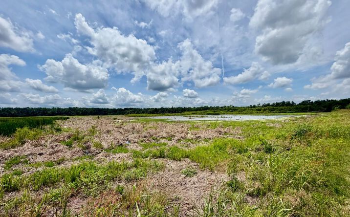 Pictures of Land property located at Airport Road, 69588, MS 38930 for sales - image #1