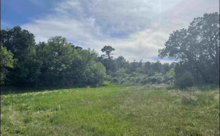 Pictures of Land property located at 101 Naranjo Creek Rd, La Jara, NM 87027 for sales - image #1