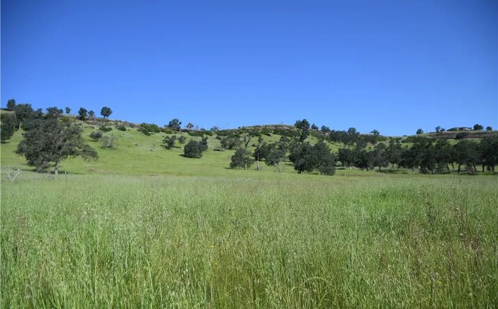 Cobble Creek, Butte Valley