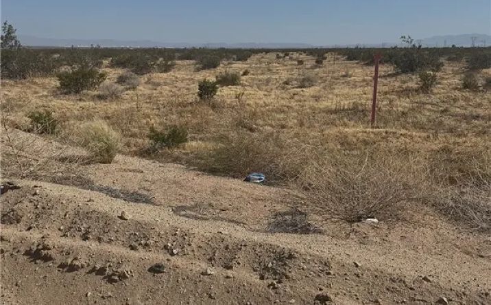 Pictures of Land property located at Shadow Mountain Rd, Helendale, CA 92342 for sales - image #1