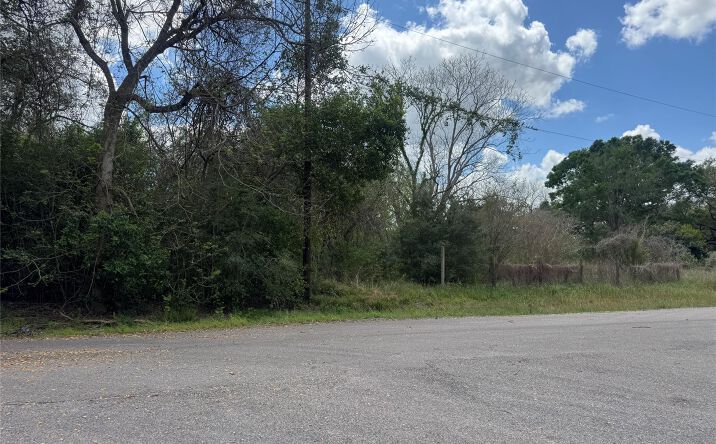 Pictures of Land property located at 0 County Road 898, West COlumbia, TX 77486 for sales - image #1