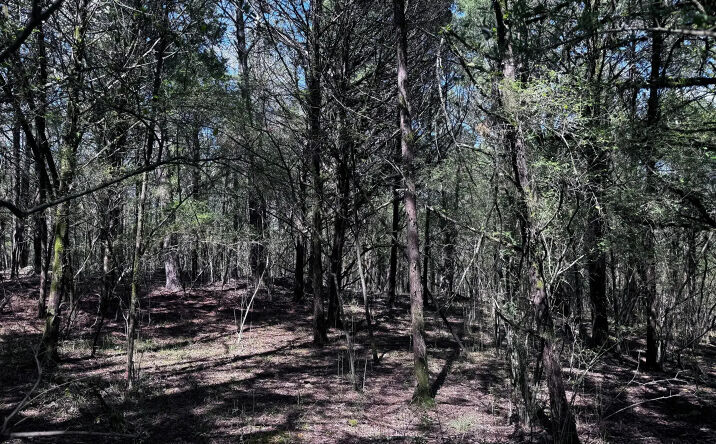 Pictures of Land property located at 2782 Smith Rd, Fortson, GA 31808 for sales - image #1