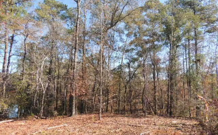 Pictures of Land property located at 1 Mountain Creek Dr, Hamilton, GA 31811 for sales - image #1
