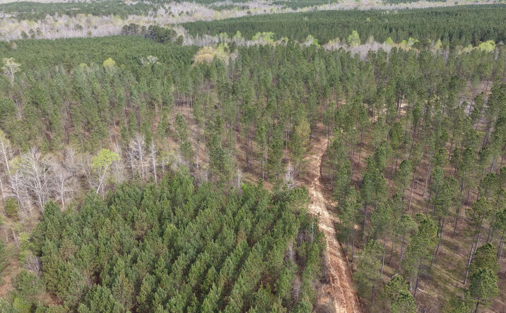 Pictures of Land property located at 205+/- ac Woodard Road, Greenville, GA 30222 for sales - image #1