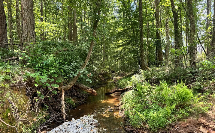 Pictures of Land property located at 319 +/- acres Hwy 100, Franklin, GA 30217 for sales - image #1