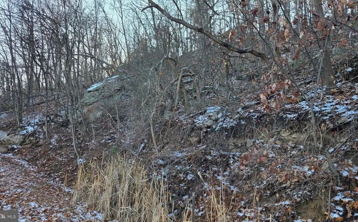 Pictures of Land property located at Arran Ln, Jones Springs, WV 25427 for sales - image #1