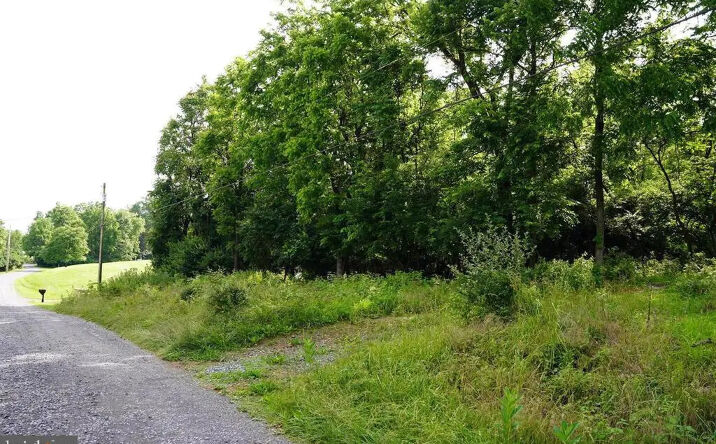 Pictures of Land property located at Co Rte 81/3, Martinsburg, WV 25403 for sales - image #1