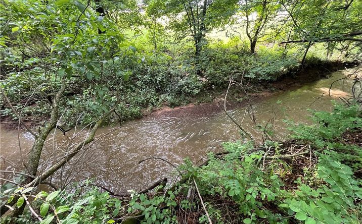 Pictures of Land, Special Purpose property located at SE HWY 69 ALT Highway, Galena, KS 66739 for sales - image #1
