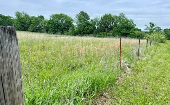 Pictures of Land property located at 11.63 Ac m/l SW 225th Street, Plattsburg, MO 64477 for sales - image #1
