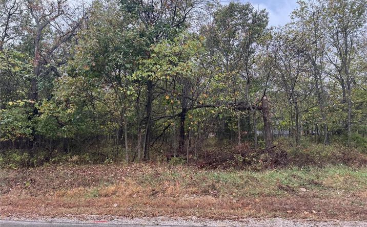 Pictures of Land, Multifamily property located at 42 N Linn Valley Drive, Linn Valley, KS 66040 for sales - image #1