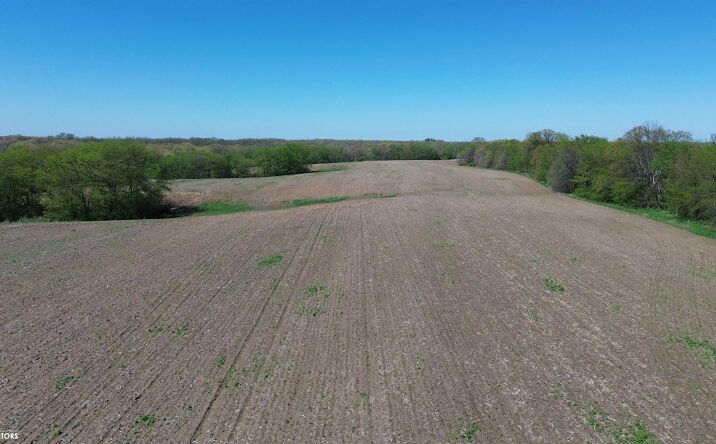 Pictures of Land, Special Purpose property located at 60 Acres Vale Boulevard, Floris, IA 52560 for sales - image #1