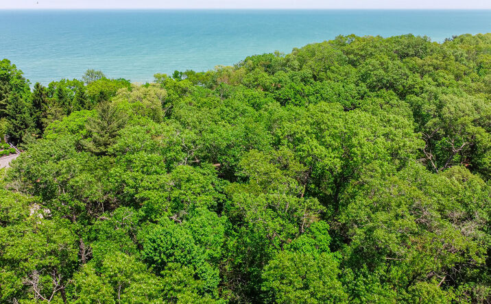 Pictures of Land property located at 9 S Beach Avenue, Beverly Shores, IN 46301 for sales - image #1