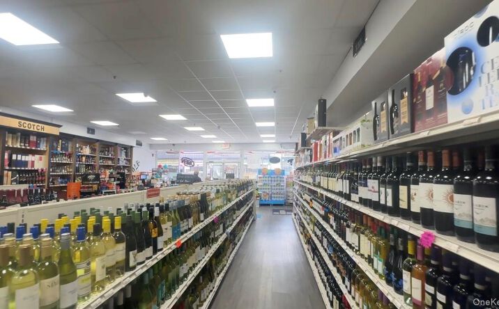 Pictures of Business for Sale, Retail property located at 309 Main Street, Farmingdale, NY 11735 for sales - image #1