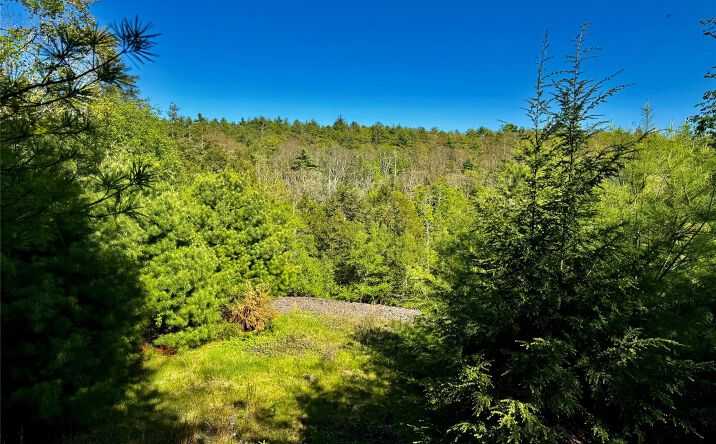 Pictures of Land, Multifamily property located at 101 Stone Road, Hurley, NY 12491 for sales - image #1