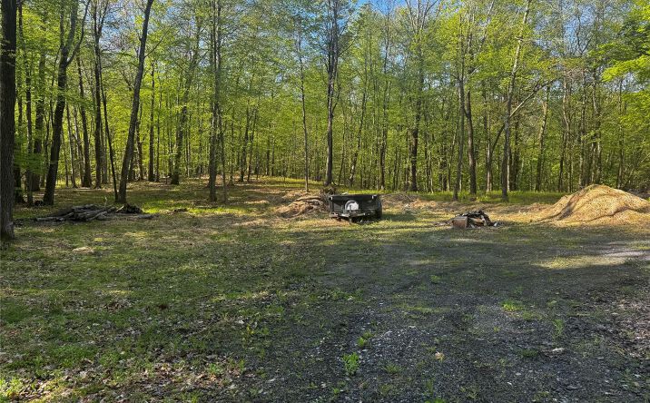 Pictures of Land property located at Hall Hill Road, Ancram, NY 12502 for sales - image #1