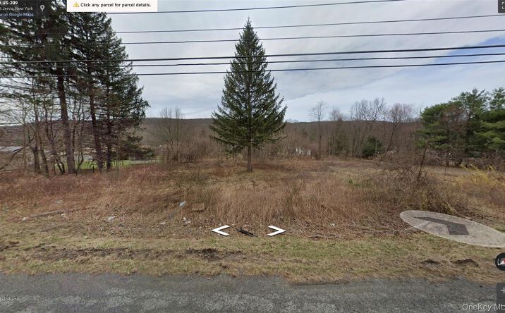 Pictures of Land, Special Purpose property located at 113 Route 209, Port Jervis, NY 12771 for sales - image #1