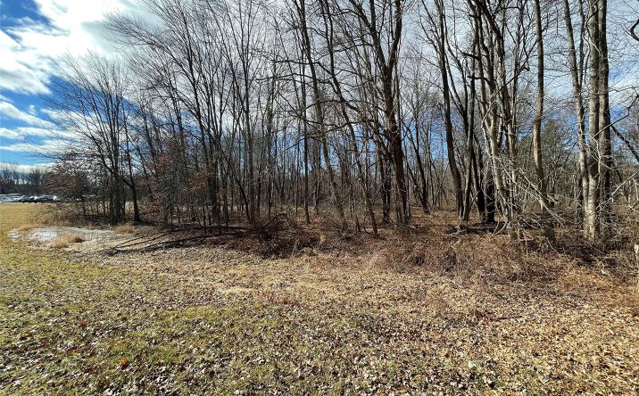 Pictures of Land property located at Rt-9G, Rhinebeck, NY 12572 for sales - image #1