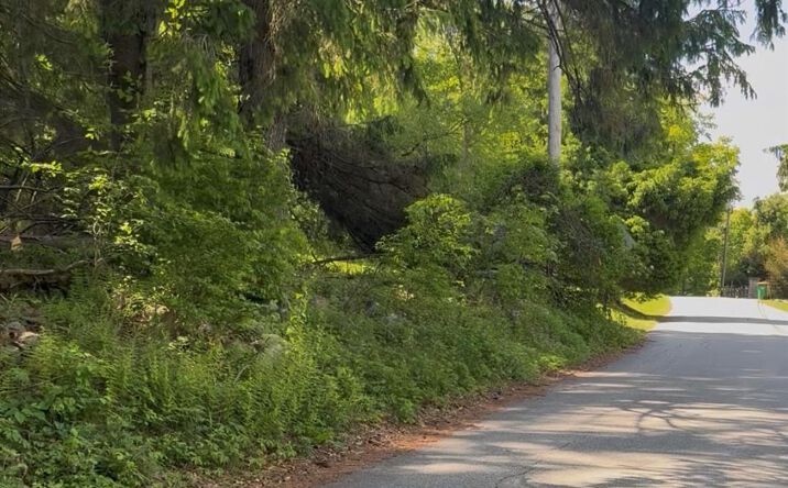 Pictures of Land property located at Mountain Road N, Cold Spring, NY 10516 for sales - image #1