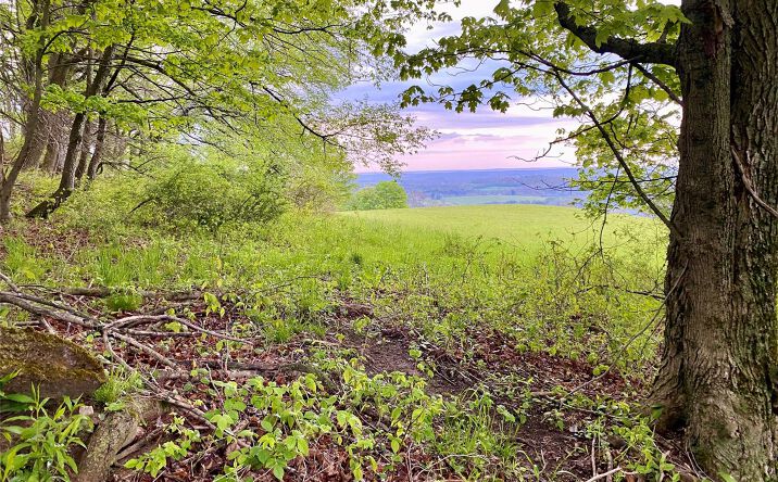 Pictures of Land property located at 301 & 305 Hust Road Hust, Callicoon, NY 12748 for sales - image #1