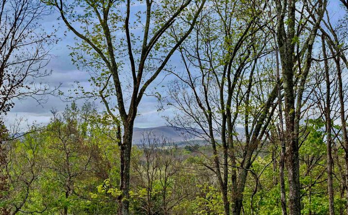 Pictures of Land, Mixed Use, Multifamily property located at Tbd Route 44/55, Kerhonkson, NY 12446 for sales - image #1