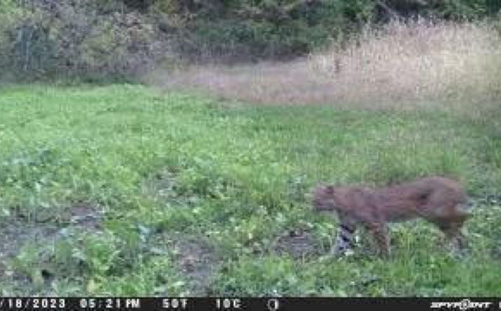 Pictures of Land, Special Purpose property located at 88XX YALE BRIDGE Road, Rockton, IL 61072 for sales - image #1