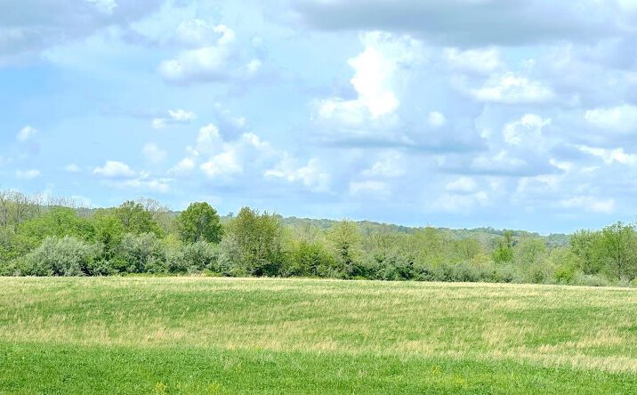 Pasture Lane, Murphysboro