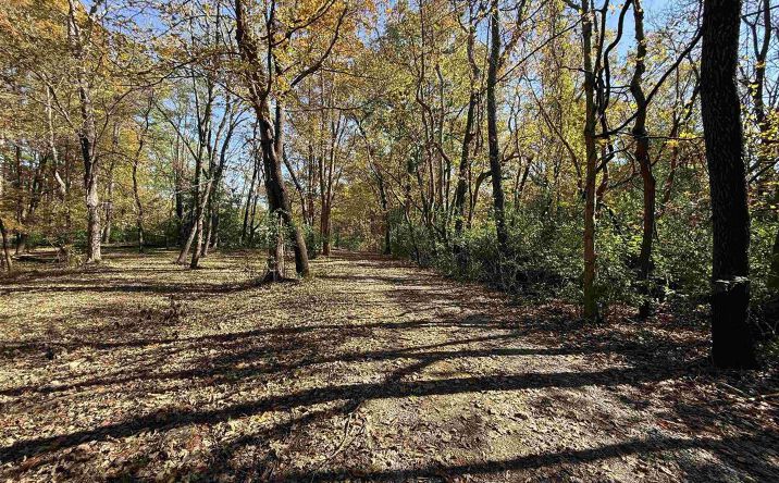 449 PINE Lane, Murphysboro