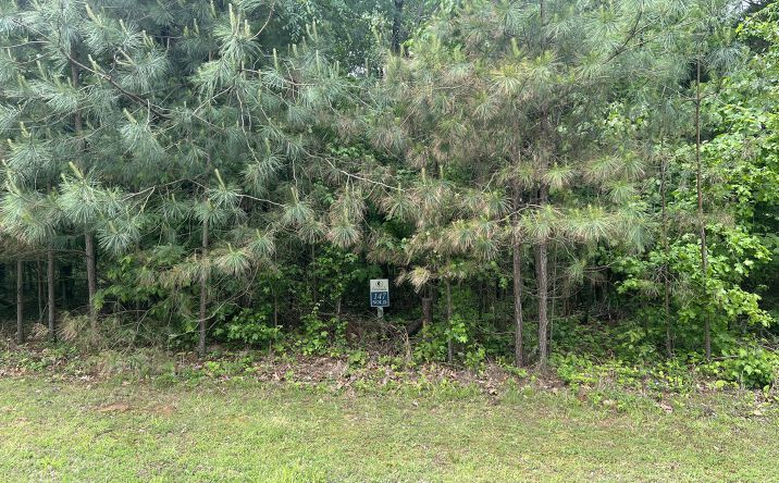Pictures of Land property located at Lot 147 Parrish Ridge, Goreville, IL 62939 for sales - image #1