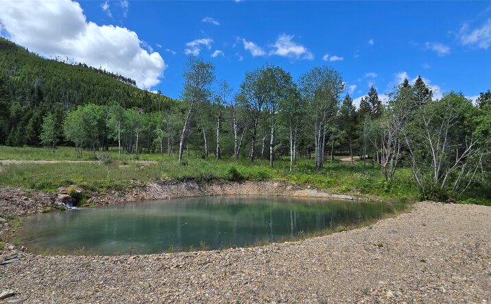 Pictures of Land property located at 8 Tract Hall Creek, HELMVILLE, MT 59843 for sales - image #1