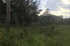 32945472