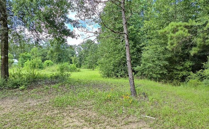 Pictures of Land property located at 340 Adrian Guidry Road, Longville, LA 70652 for sales - image #1