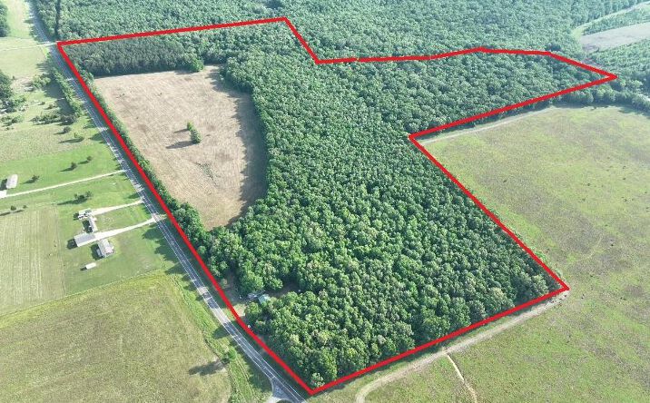Pictures of Land property located at 7453 Farm Road 412, Clarksville, TX 75426 for sales - image #1