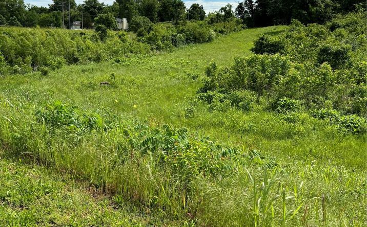 Pictures of Land property located at Lot 4 Quicktrip, Herculaneum, MO 63048 for sales - image #1