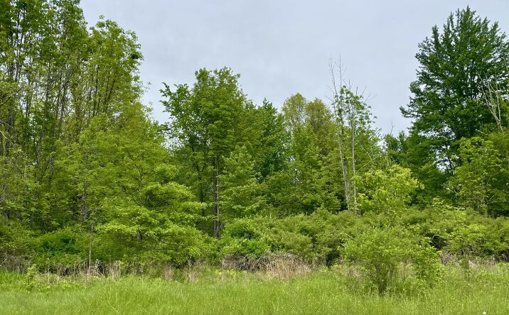 Pictures of Land property located at Tbd Orchard Drive, Plattekill, NY 12568 for sales - image #1