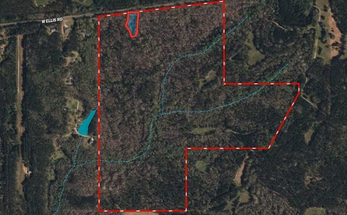 Pictures of Land property located at 200 ac W Ellis Road, Griffin, GA 30223 for sales - image #1