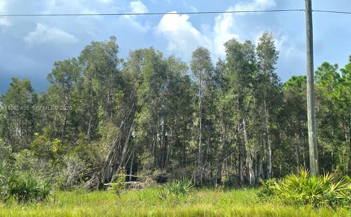 Pictures of Land property located at 2650 MEADOW RD, Lehigh Acres, FL 33974 for sales - image #1