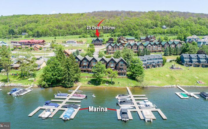 Pictures of Mixed Use, Special Purpose property located at 25 CEDAR SHORES DR, MCHENRY, MD 21541 for sales - image #1
