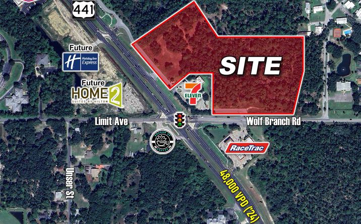 Pictures of Retail, Mixed Use, Land property located at US-441 & Wolf Branch Rd, Mt. Dora, FL 32757 for sales - image #1