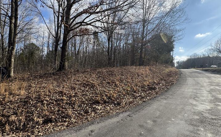 Pictures of Land, Multifamily property located at Crestview Dr, Bumpus Mills, TN 37028 for sales - image #1