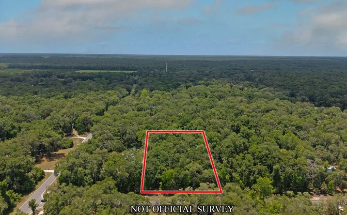 Pictures of Land property located at 65 NE 617th St, Old Town, FL 32680 for sales - image #1