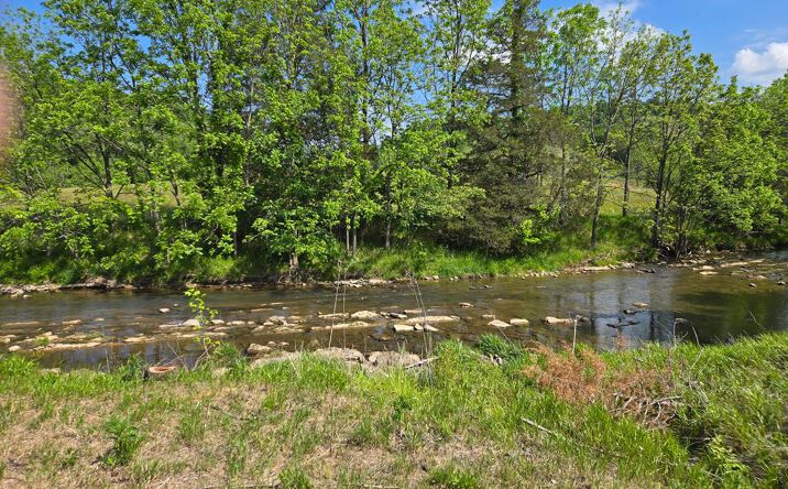 Pictures of Land, Multifamily property located at TBD Big Cedar Creek Road, Lebanon, VA 24266 for sales - image #1