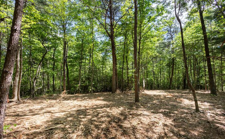 Pictures of Land property located at 4.0 acre Donley Road, Murphy, NC 28906 for sales - image #1